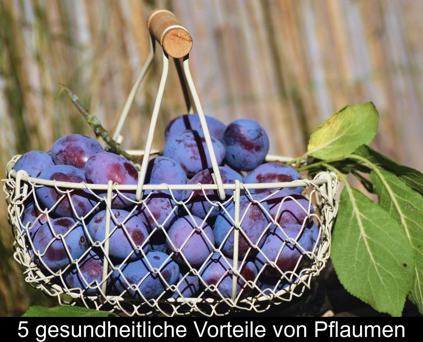 5 Gesundheitliche Vorteile Von Pflaumen