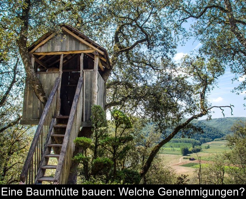 Eine Baumhütte Bauen: Welche Genehmigungen?