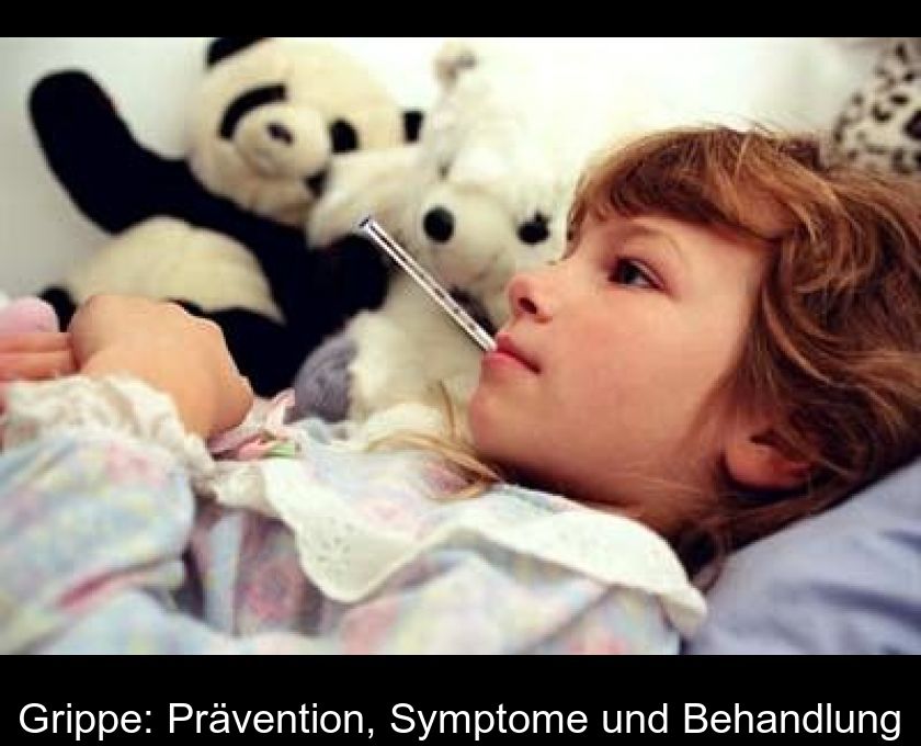 Grippe: Prävention, Symptome Und Behandlung