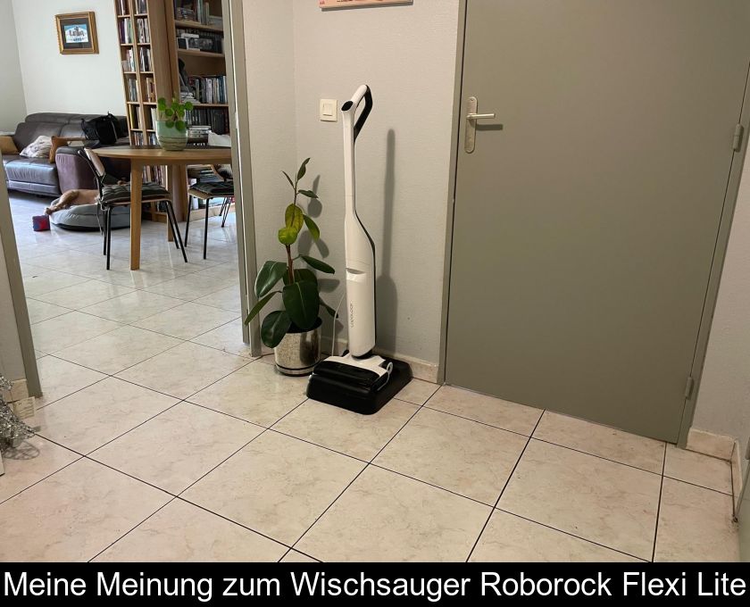 Meine Meinung Zum Wischsauger Roborock Flexi Lite