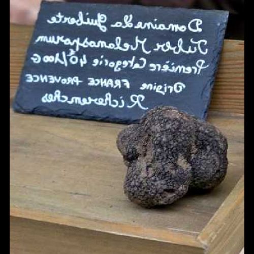 Le Ban des truffes: ein festlicher Gourmettermin in Richerenches